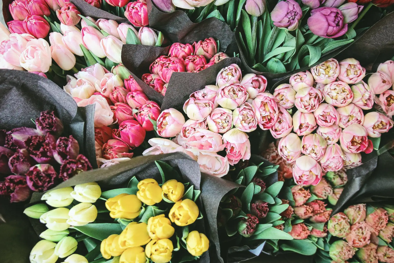 The bouquet